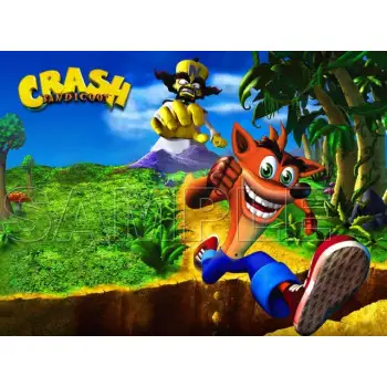 Crash Bandicoot DTF Iron on Transfer - Ready to Press #5