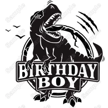 Dinosaur Birthday Boy  Iron On Transfer Vinyl HTV