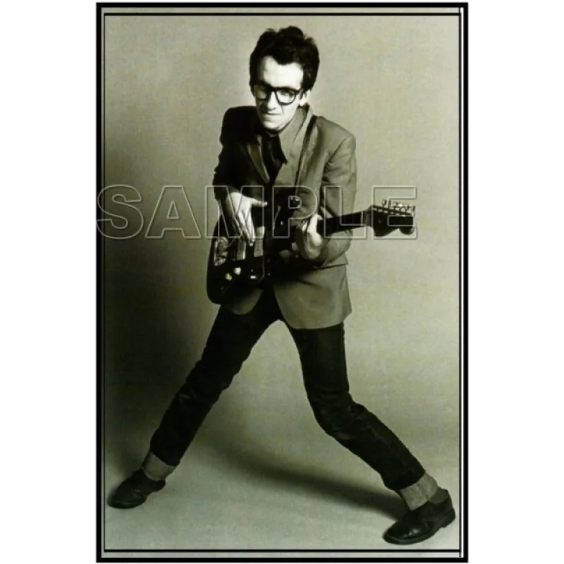 Elvis Costello DTF Iron on Transfer - Ready to Press #2