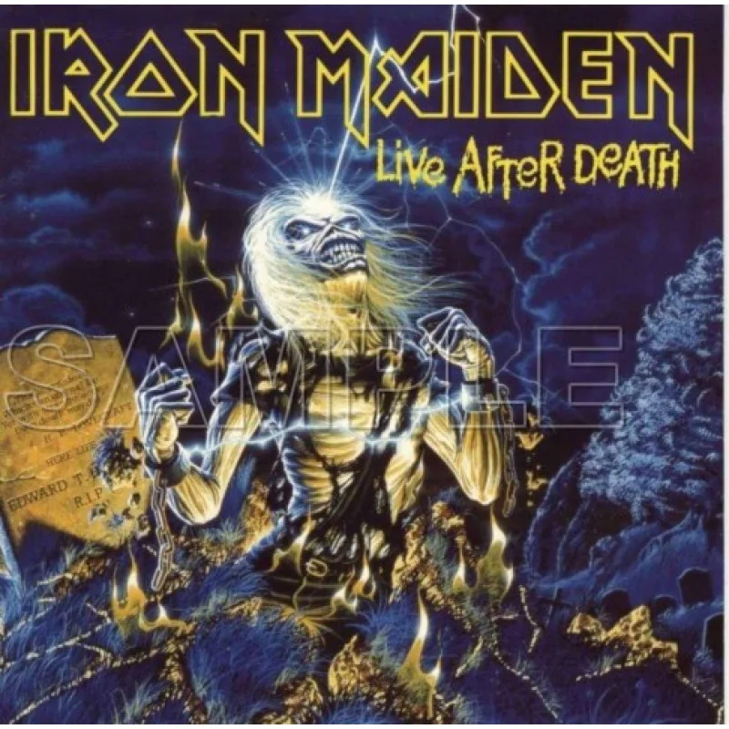 Iron Maiden DTF Iron on Transfer  - Ready to Press  #4