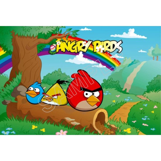 Angry Birds  T Shirt Iron on Transfer    N78 (KRAFTYME.COM)