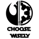 Choose Wisely Star Wars  Iron On Transfer Vinyl HTV (KRAFTYME.COM)