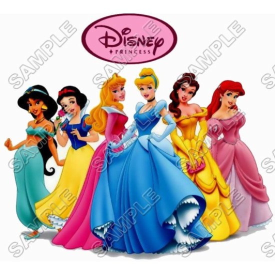 Disney Princess Heat Iron On Transfer for T shirts N17 (KRAFTYME.COM)