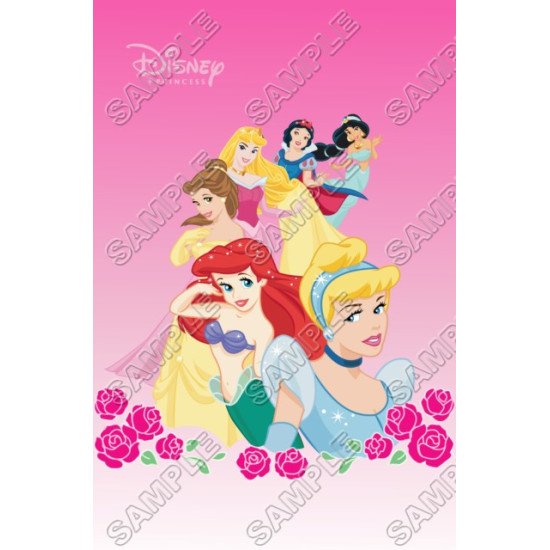 Disney Princess Heat Iron On Transfer for T shirts N26 (KRAFTYME.COM)