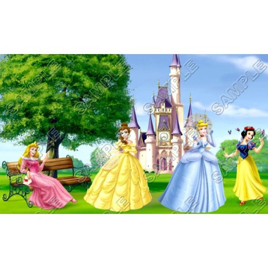 Disney Princess Heat Iron On Transfer for T shirts N27 (KRAFTYME.COM)