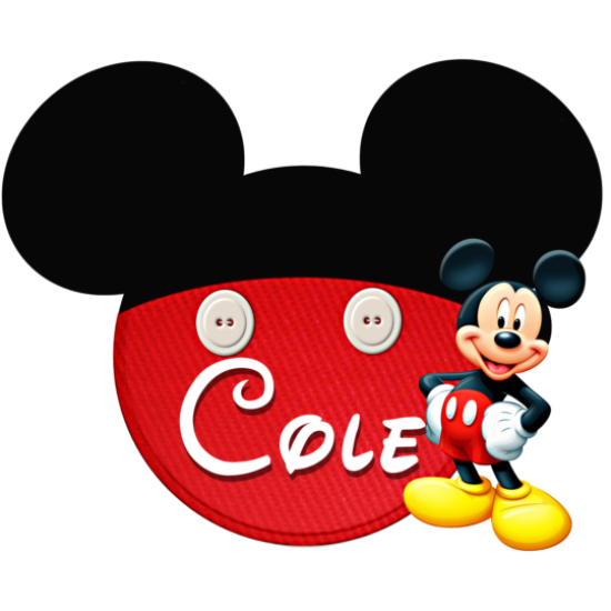 Disney World Vacation Mickey Mouse Custom  Personalized  Heat Iron On Transfer for T shirts N500 (KRAFTYME.COM)