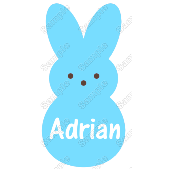 Easter Bunny for Boys  Custom Name Iron on Transfer (KRAFTYME.COM)