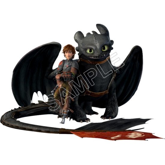 How to Train  Your  Dragon  Heat Iron On Transfer for T shirts N5 (KRAFTYME.COM)