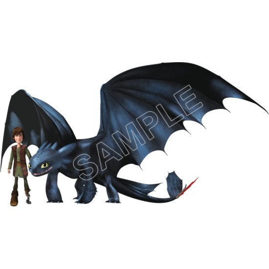 How to Train  Your  Dragon  Heat Iron On Transfer for T shirts N6 (KRAFTYME.COM)