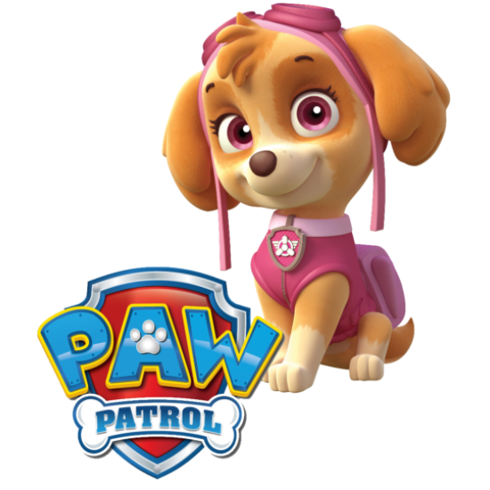 PAW Patrol Skye T Shirt Iron on Transfer    N85 (KRAFTYME.COM)