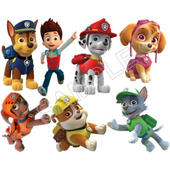 Paw Patrol T Shirt Iron on Transfer    N80 (KRAFTYME.COM)