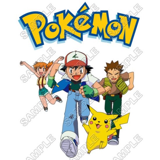 Pokemon  Heat Iron On Transfer for T shirts N5 (KRAFTYME.COM)