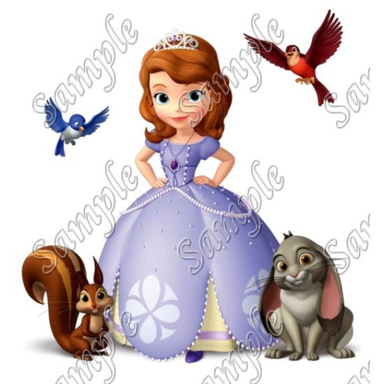 Sofia the First Princess Heat Iron On Transfer for T shirts N15 (KRAFTYME.COM)