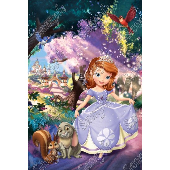 Sofia the First Princess  T Shirt Iron on Transfer    N8 (KRAFTYME.COM)