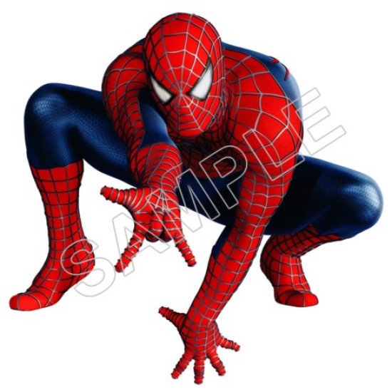 Spider Man  T Shirt Iron on Transfer    N10 (KRAFTYME.COM)