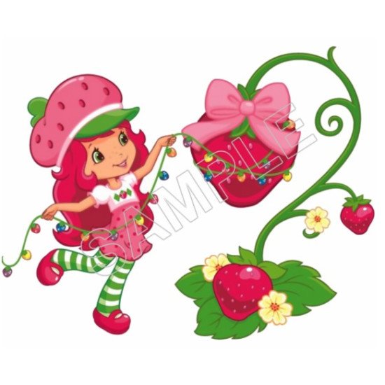 Strawberry Shortcake  Heat Iron On Transfer for T shirts N31 (KRAFTYME.COM)