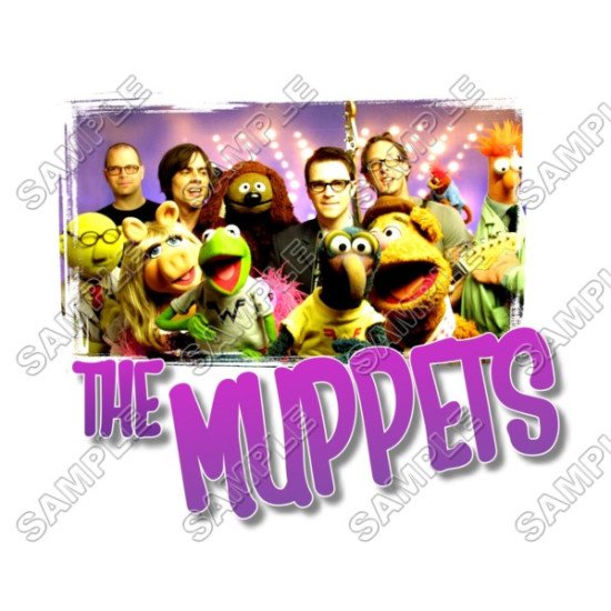 The Muppets T  Shirt Iron on Transfer  N3 (KRAFTYME.COM)